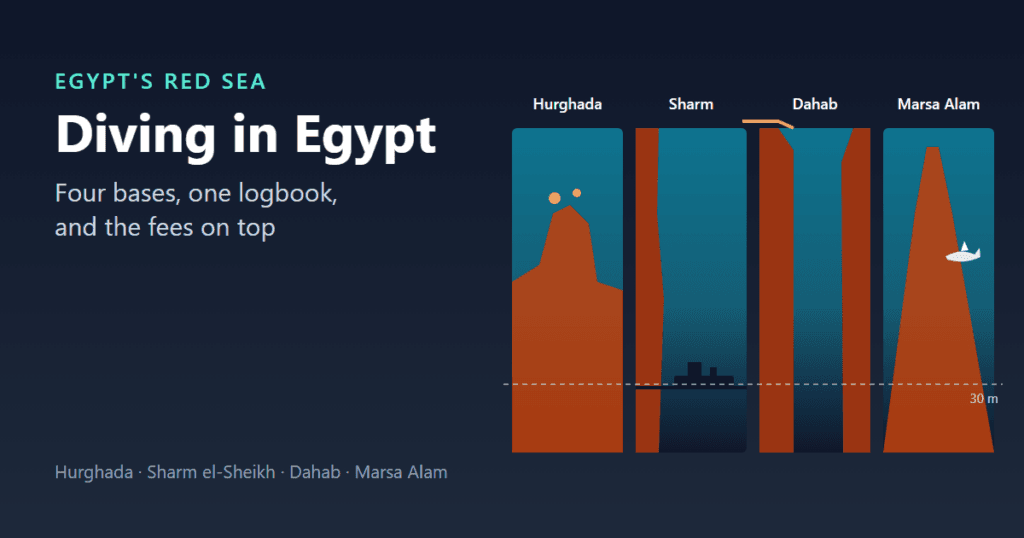 Diving in Egypt illustration: four side-by-side depth cross-sections comparing Hurghada's coral gardens, Sharm's Thistlegorm wreck at 30 metres, Dahab's shore entry and Blue Hole, and Marsa Alam's Elphinstone pinnacle