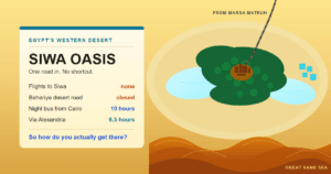 Siwa Oasis guide cover illustration: the oasis from above, palms and salt lakes in a pale depression with Shali's hill at the centre, a single road entering from the north and the Great Sand Sea's dunes filling the south